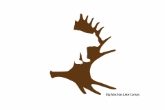Logo Design | Big Machias Lake Camps