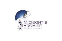 Logo Design | Midnight's Promise Equine Rescue, North Carolina